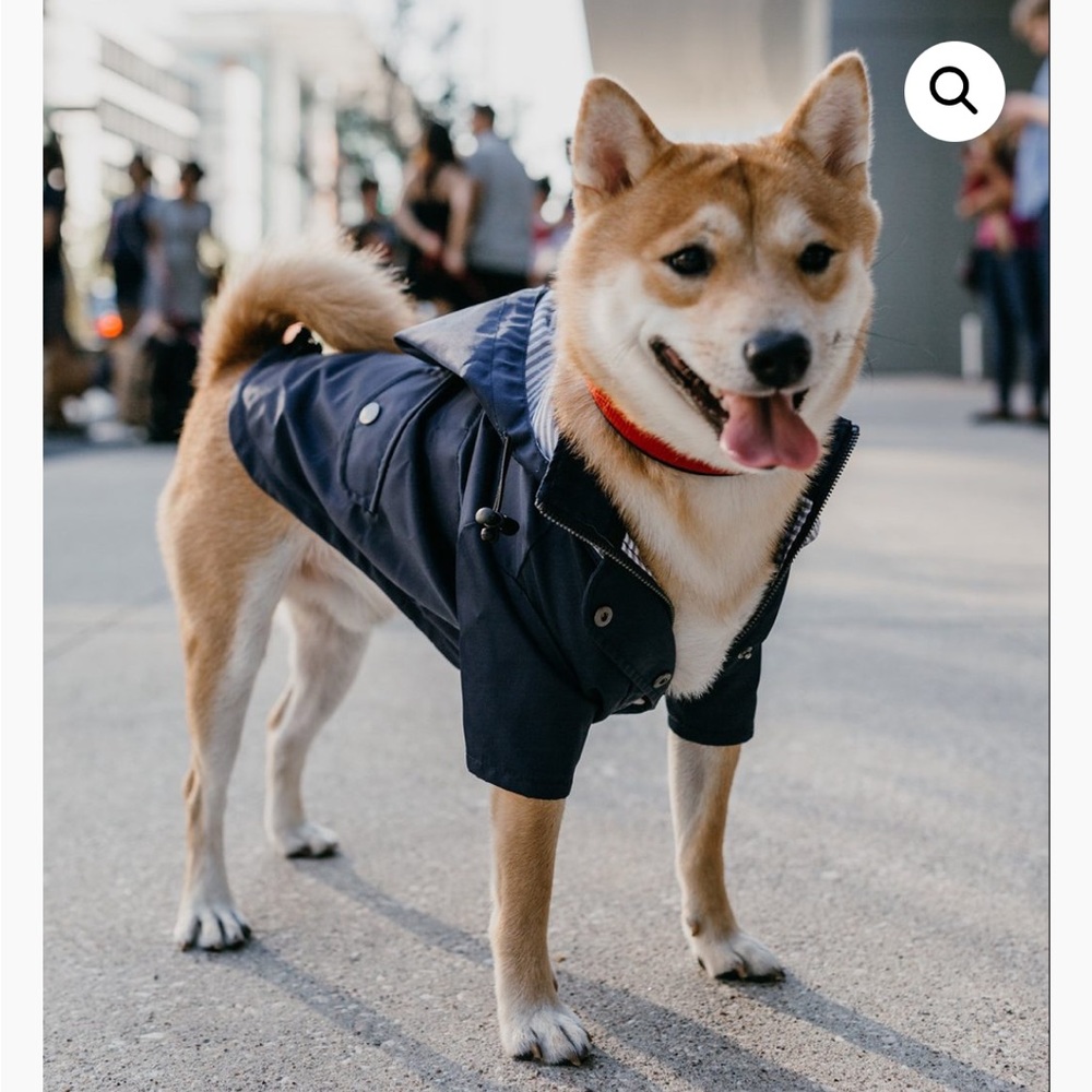 Navy dog raincoat Ellie dogwear